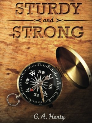 Sturdy and Strong: or How George Andrews Made His&nbsp;Way