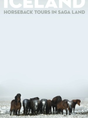 Iceland: Horseback Tours in Saga&nbsp;Land